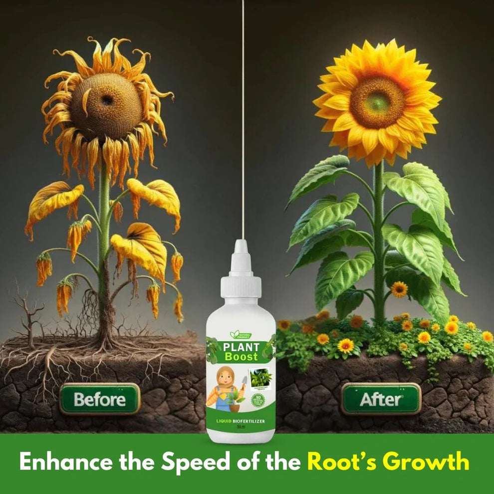 Organic Plant Boost - Faster Growth & Stronger Roots (Pack of 4)