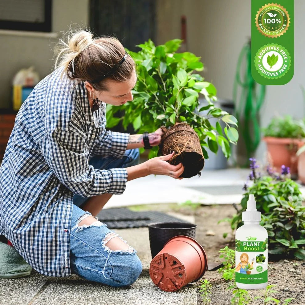 Organic Plant Boost - Faster Growth & Stronger Roots (Pack of 4)