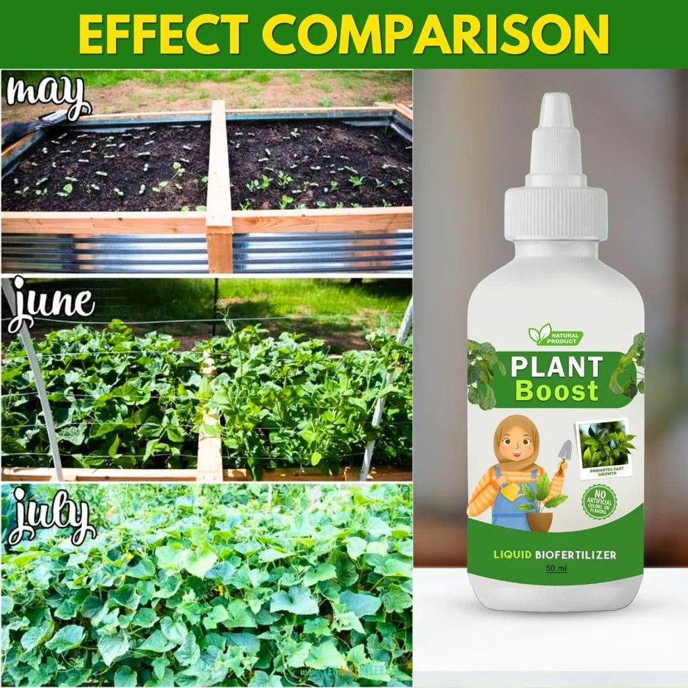 Organic Plant Boost - Faster Growth & Stronger Roots (Pack of 4)